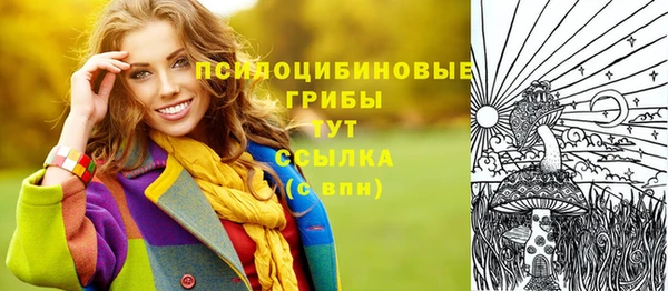 дмт Алзамай
