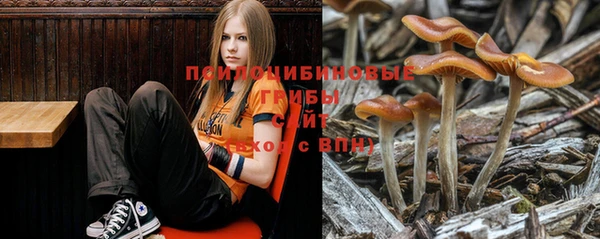 дмт Алзамай