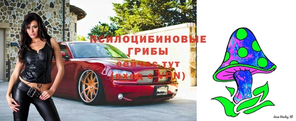 MDMA Алексеевка