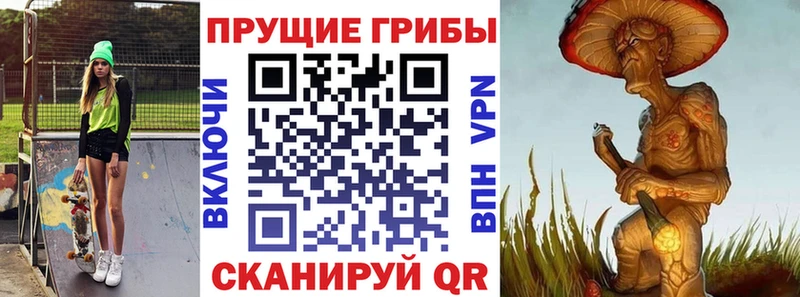 Галлюциногенные грибы прущие грибы  Куровское 